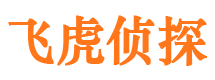 应县外遇调查取证